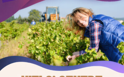 Nouveau podcast : Viti O’ Centre