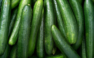 Virus de la mosaïque du concombre