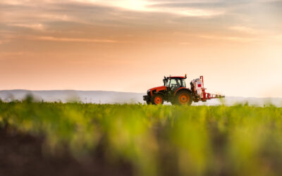 L’agriculture sociale comme levier de réinsertion